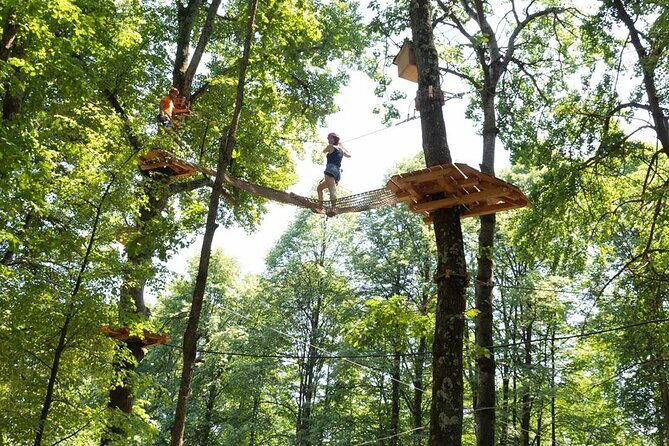 Adult Daily ticket for Adventure Park in Gravedona - Who should book this Adult Daily ticket?