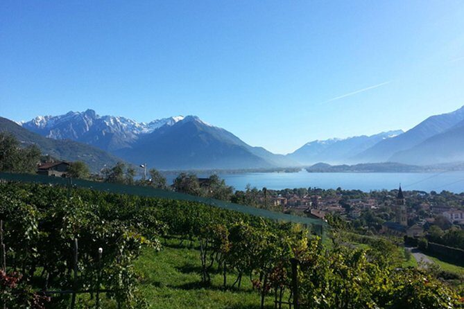 Domaso: Wine Tasting at the Winery on Como Lake - Entering the family winery: cellars, process, and how they make it
