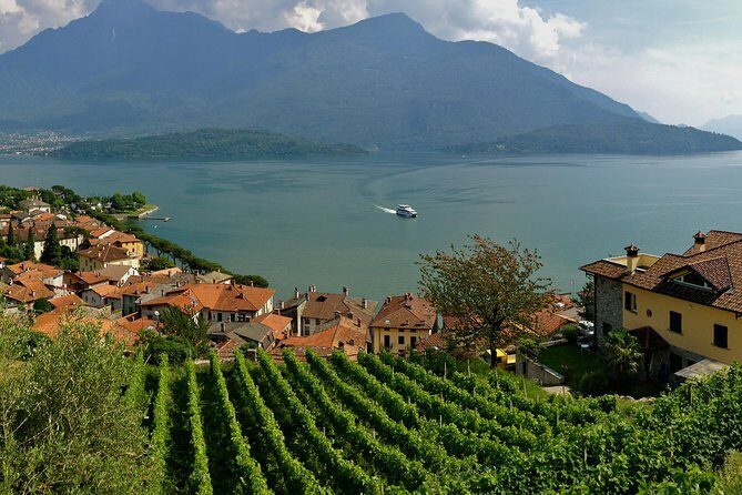 Domaso: Wine Tasting at the Winery on Como Lake - Price and value: what $76.22 buys you in Domaso