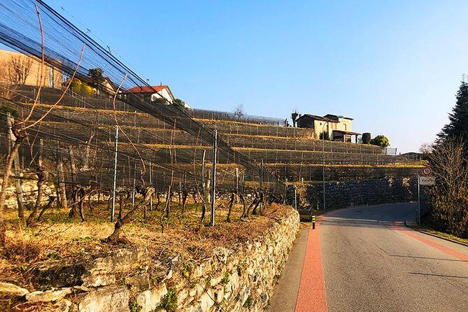 E-Bike Tour Lake Como and Swiss Vineyards - Should you book the Lake Como and Swiss Vineyards e-bike tour?