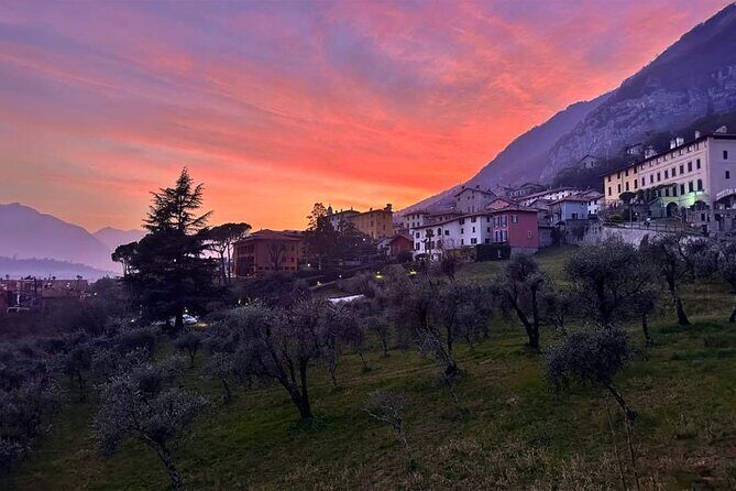 E.V.O. oil of Lake Como tasting+ food pairings - Start in Azzano: where the session begins