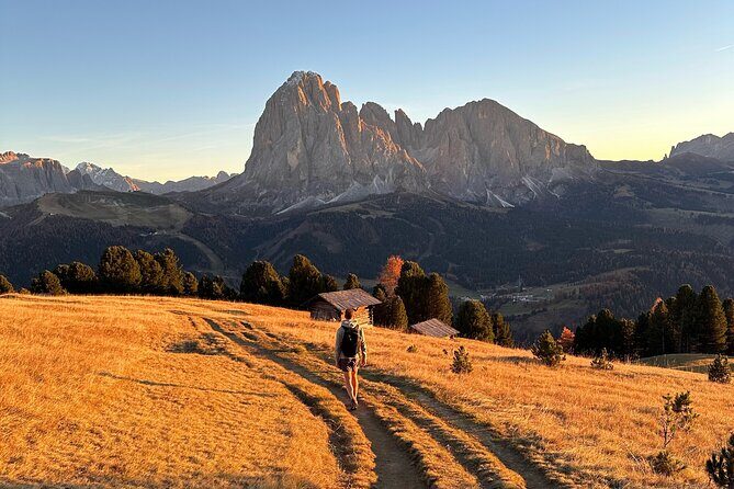 From Milan/Como/Varenna: Panoramic Hiking Tours near Lake Como - What the Best Experience Feels Like on the Trail