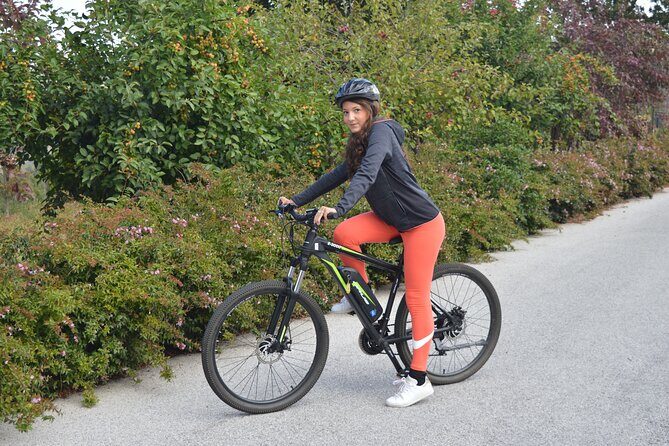 Guided e-bike tour on Lake Como - Menaggio setup with Dante: the part that makes the ride easy