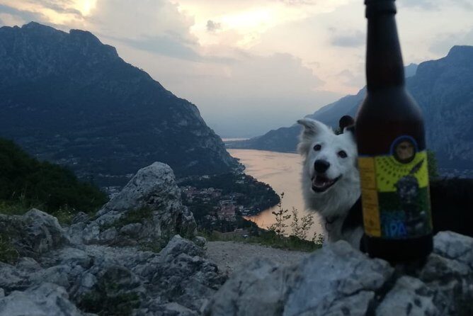 Hike & Beer: beer tasting & breathtaking views at sunset - Stop 2 at Birrificio Herba Monstrum: tasting with a purpose