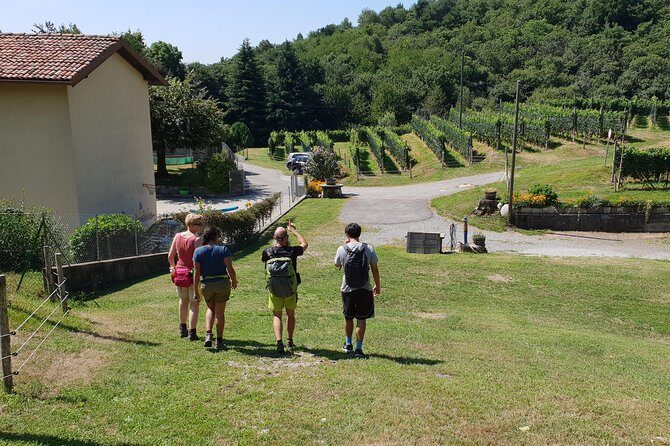 Lake Como Rebels: Adventure day in Spina Verde Regional Park - Parco Spina Verde: Foxholes, Fortresses, and the Border-Guard Story