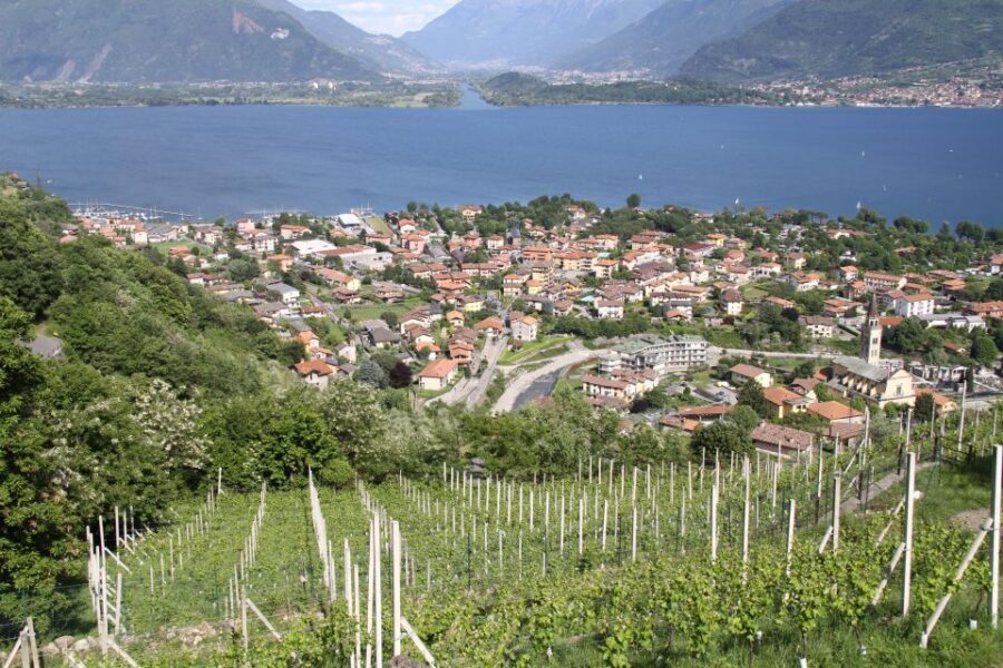 Lake Como: Winery Tour with Wine Tasting - The 1.5-hour flow from cellar tour to terrace pours