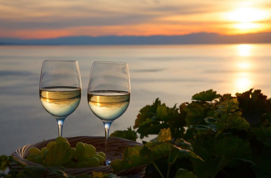 Lake Como: Winery Tour with Wine Tasting - Price and value for a small, family-run operation