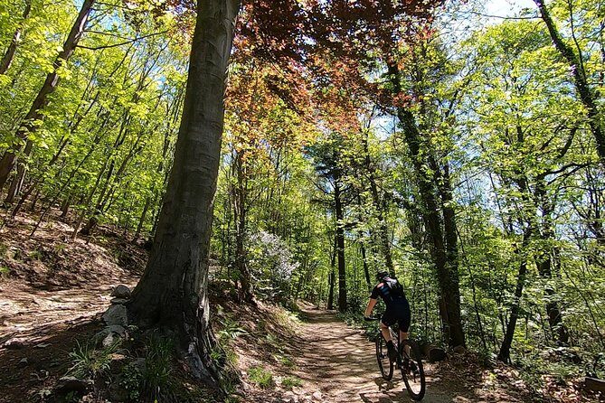 Mountain Bike tour in Spina Verde natural park - Spina Verde MTB: Why the Guided Route Is the Point