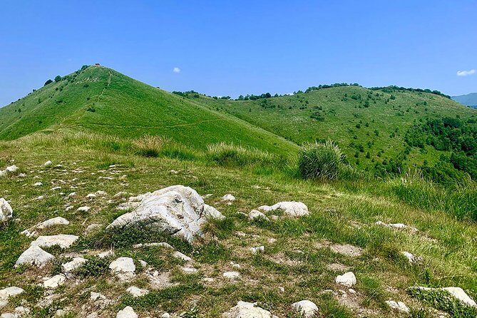 MTB Tour Lake Como Mountain Views & Local Cuisine - Bikes, Rental Options, and the Skill Match Question