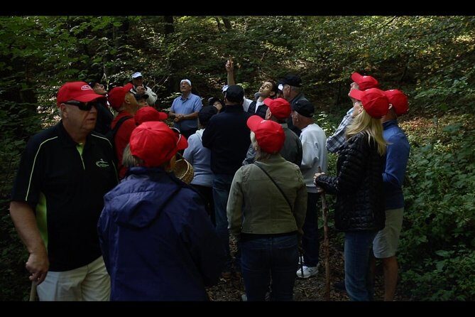 Mushroom or Truffle Hunting - Mushroom or Truffle Hunting near Bellagio: why it’s fun
