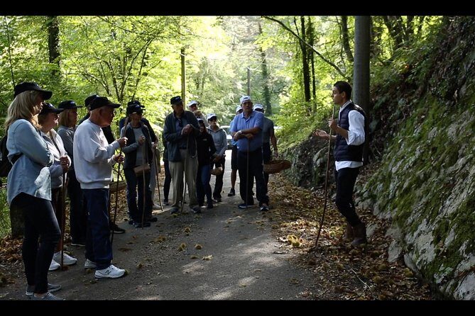 Mushroom or Truffle Hunting - Ristorante Salice Blu: your meeting point and base