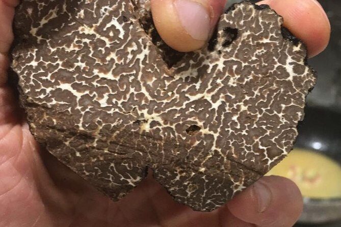Private Hunting Of Truffle And Mushrooms With Chef Luigi Gandola In Bellagio - Turning your harvest into dinner (and learning a bit along the way)