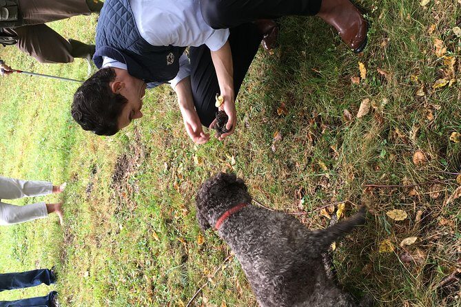 Private Hunting Of Truffle And Mushrooms With Chef Luigi Gandola In Bellagio - Wine pairing with Lombardy bottles